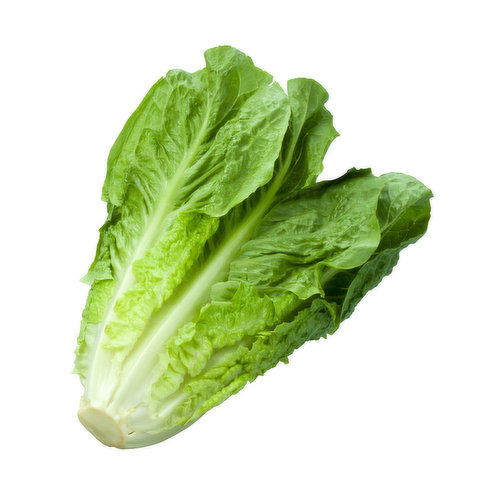 Organic Romaine